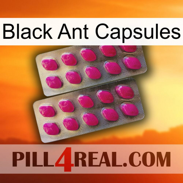 Black Ant Capsules 10.jpg